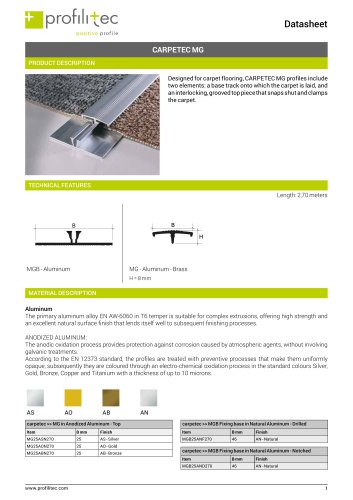 Carpetec MG