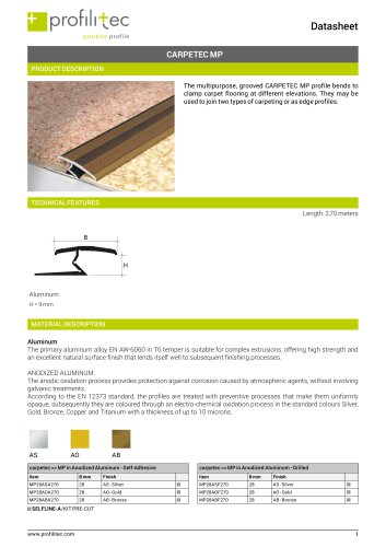 Carpetec MP