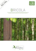 BRICOLA - 1