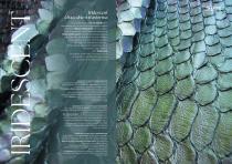 iridescent-3
