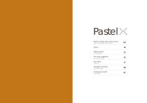 Pastel X-2