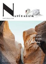 LOOK BOOK novelties-8
