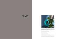 SILVIS - 2