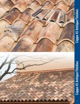 Authentic Italian Clay Roof Tile - 21