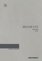 cat_brazilian_slate_ld - 1