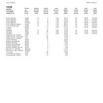 maxxi compact - 51