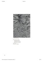 LIGNE PURE-20