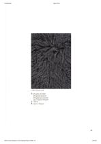 LIGNE PURE-23