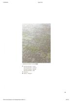 LIGNE PURE-39