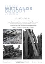 Cascade Bog Oak-5