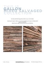 Gallon Mixed Salvaged-2