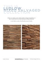 Ludlow Mixed Salvaged-2