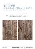 Silver Teak-2