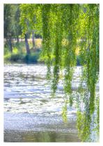 Sustainability  is in our nature-16