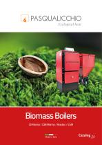 Biomass Boilers - 1