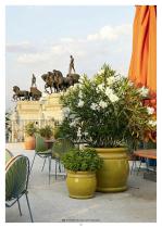 GUADARTE Inspiration for Outdoor Living-101