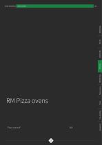 RM Pizza ovens - 2