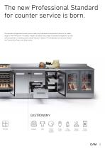 COUNTERS STANDARD-3
