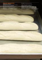 CELLE DI LIEVITAZIONE-1