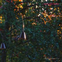 Catalog "Garden and poetry" 2025-69