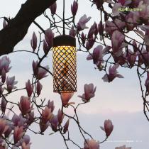 Garden and poetry-77