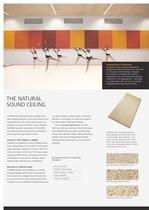 Troldtekt - Good acoustics naturally-2
