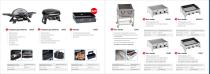 Grillchef_Katalog_2020 - 5