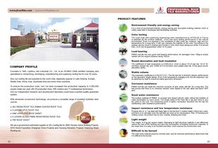Jeli Brand Roof Tile-2