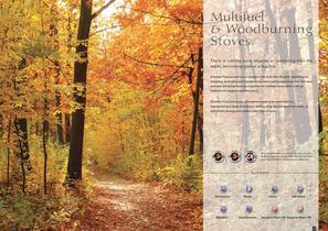 Multifuel & Woodburning Stoves-2