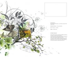 Eco Catalogue 2011-2