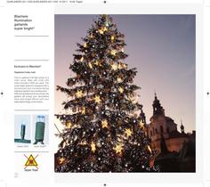 Fairy Lights 2011-2