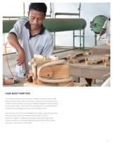 Vicent Sheppard New Catalogue-13
