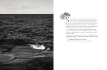Catalogue  2014-3
