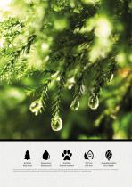 FLOORING NEWS 2024-12