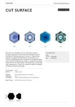 CUT SURFACE-2