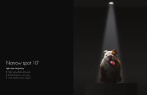 lumenalpha 2017 - 2018-11