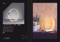 LEDEUN CATALOGUE-4