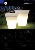 AURINKO 100-1