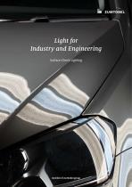 Light for Industry and Engineering: Surface-Check Lighting - 1