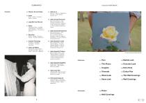 COLLECTION 2022-3