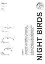 Night Birds - 2