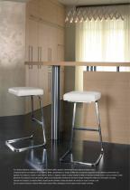 Mies van der Rohe Brochure-14