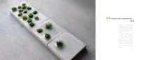 Catalogue_Greenworks-16