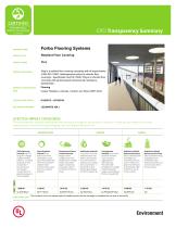 TRANSPARENCY SUMMARY STEP SAFETY VINYL-1