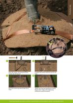 Root Ball Anchoring - 2