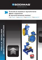 Gear machine & synchronous motor - 1