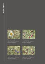 Organoid Acoustic Surfaces-5
