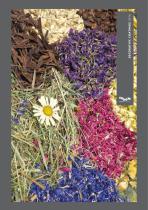 Organoid Decorative Coatings 2016-1