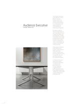 Audience Executive - 2