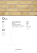 2.1.23 Callisto - 1